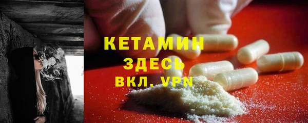 шишки Магас