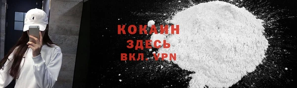 шишки Магас