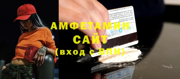 шишки Магас