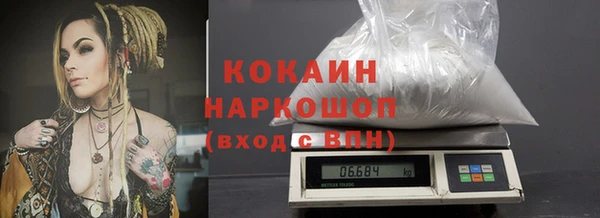 шишки Магас