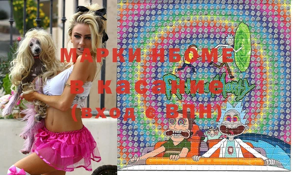 шишки Магас