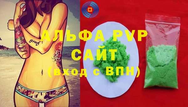шишки Магас