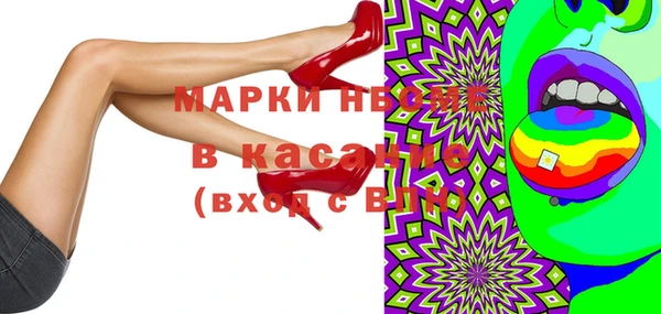 шишки Магас
