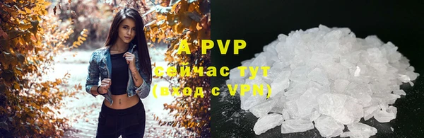 ПСИЛОЦИБИНОВЫЕ ГРИБЫ Майский