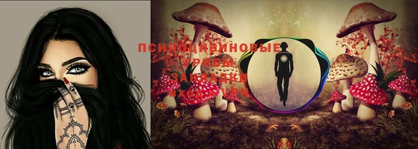ПСИЛОЦИБИНОВЫЕ ГРИБЫ Майский