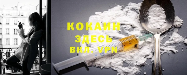 шишки Магас