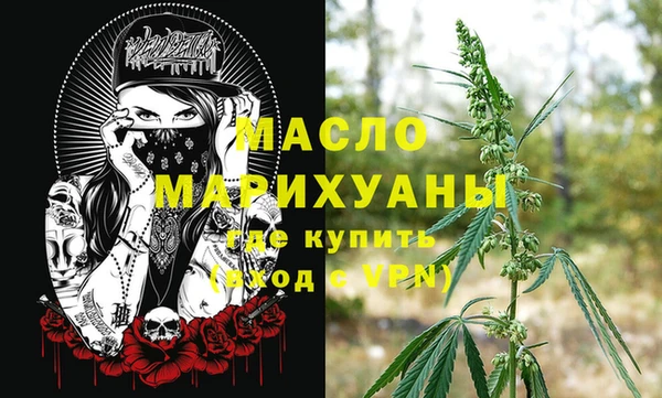 шишки Магас