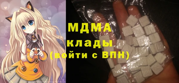 шишки Магас