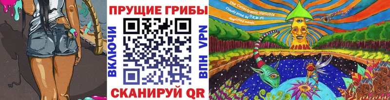Галлюциногенные грибы Psilocybe  Владикавказ 