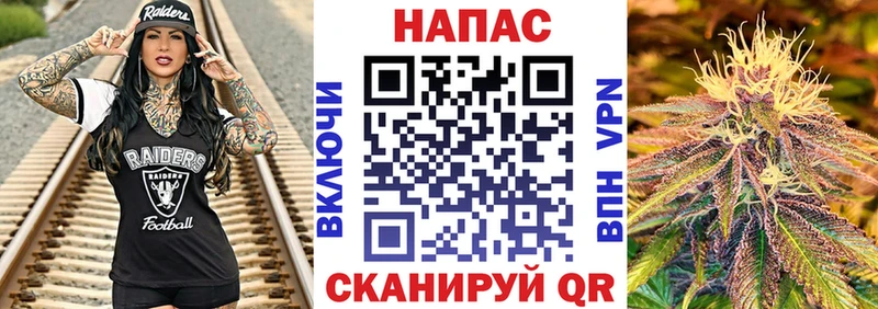 МАРИХУАНА сатива Владикавказ